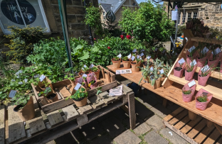 Stand at Spring Fair