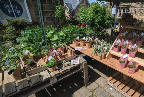 Stand at Spring Fair