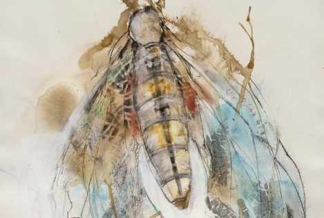 Redbrick artist from feb 2026